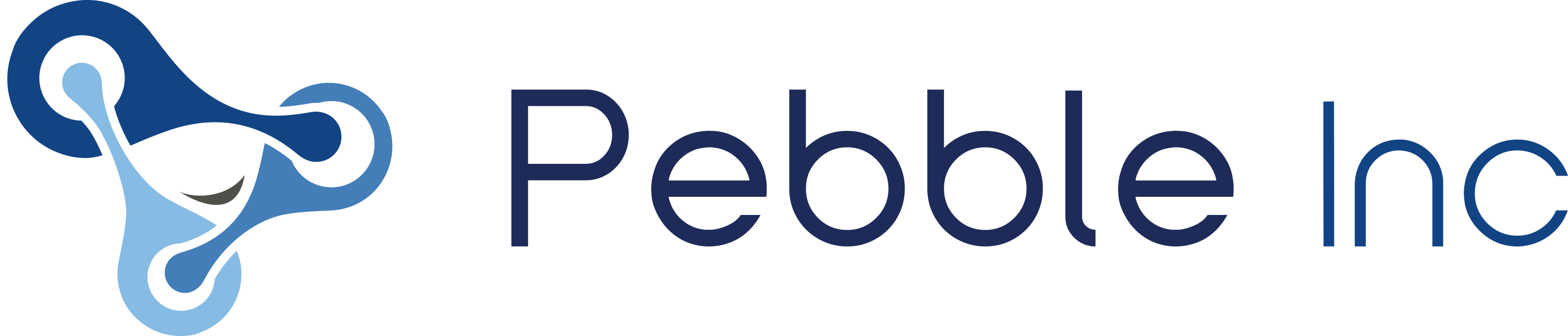 Pebble Inc